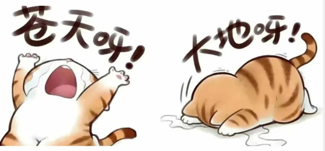 “我没钱了，幽默一点怎么说🤣”
